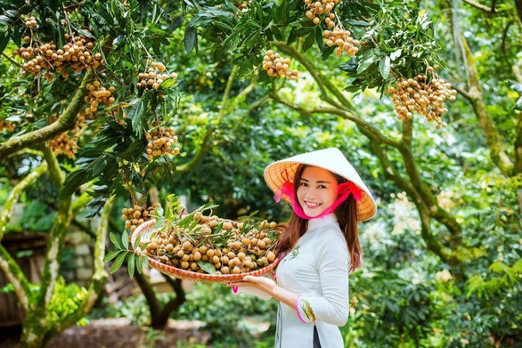 Nhiều loại trái cây sắp được xuất chính ngạch sang mỹ, nhật, trung quốc